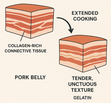 How collagen-rich tissue turns to gelatin